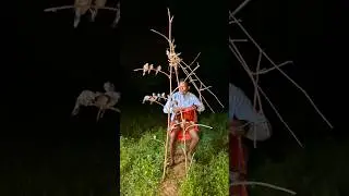 catch it quickly #nature #shotviral