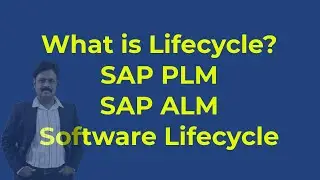 What is Lifecycle - SAP PLM ALM Software Lifecycle Management