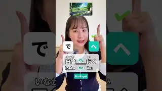 Let's all take Mimi-san's Japanese particle quiz! #riki #japan #jlpt #rikinihongo