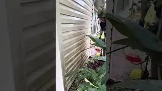 Pressure Washing vs. Softwashing on Vinyl Siding
