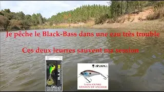 pêche du black-bass en eau trouble