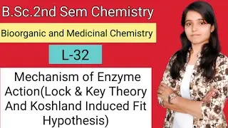 B.Sc.2ndChemistry Mechanism of Enzyme Action(Lock & Key Theory  And Koshland Induced Fit Hypothesis)