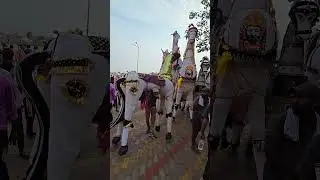 Ramdevra Mandir Mein pahuncha Ladka 80 Kg Ka Ghoda Lekar, #ramdevramela2025 #ramapir #ramdevra