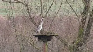 Wanderung von Hornbach nach Mauschbach