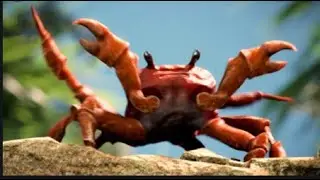 i timed the beat drop of crab rave to drop at midnight on new years