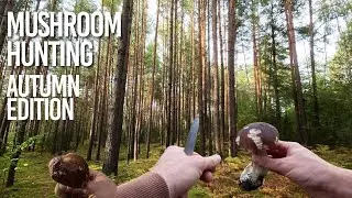 Mushroom hunting: Autumn edition | Grybavimas rudenį Dzūkijos mi&scaron;kuose