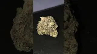 CannFX ZA T32 - Zangria - Обзор медицинского каннабиса в Великобритании