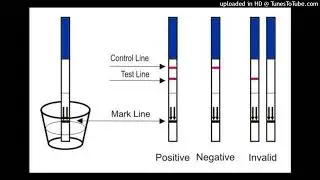 NI RYARI WAKORESHA TESTE DE GROSSESSE IKAGUHA IGISUBIZO CYIZEWE #PREGNANCY TEST USAGE