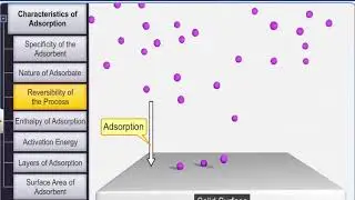 CBSE Class 12 Chemistry | Surface Chemistry &ndash; 2 | Adsorption  Types | NCERT Animation | JEE NEET