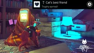Cat's Best Friend Trophy in STRAY