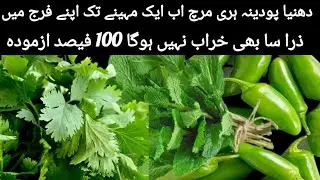 How to Store and Save Corander Mint Leaves | Podina Dhaniya hari Mirch Mehfooz