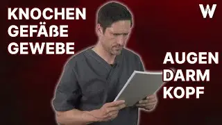 B&uuml;rojobs: Die verborgene Bedrohung? 7 B&uuml;rokrankheiten, die Ihre Gesundheit bedrohen!