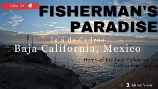 Fishing Cedros Island with Cedros Outdoors Adventures!