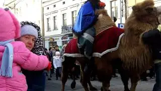 Tłumy tarnowian na pochodzie Trzech Króli
