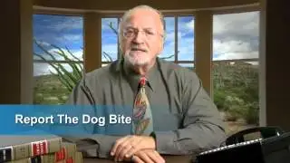 Solomon-Relihan-Client-Dog-Bites.mp4