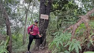 Trans 9 Peak Trails (Hiking vlog)