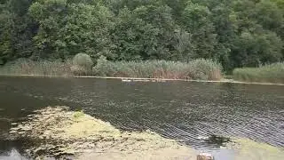 river Oskil Ukraine 03/08/19