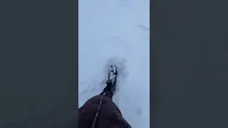 Snow crunch #snow #crunchy #winter #walking
