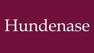 How to Pronounce ''Hundenase'' (Dog nose) Correctly in German