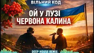 Вільний код  -  Ой у лузі червона калина (Remix)
