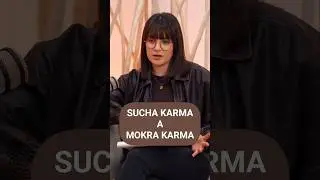 CZYM R&Oacute;ŻNI SIĘ SUCHA KARMA POMIĘDZY MOKRĄ? 🥩🐕