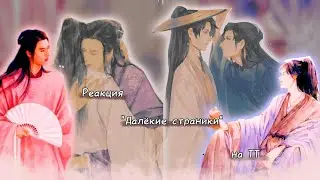 💮Реакция 
