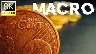 Macro Shots Collection in 8K ULTRA HD (60 FPS) | Satisfying Film With Relaxation Music | 02
