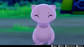 Mew In Camp - Pokemon Sword & Shield
