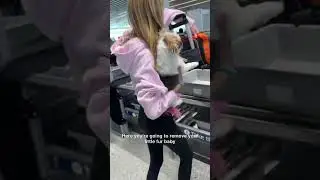 Travel Hacks: Flying with Pets
