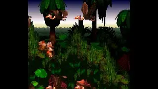 DKDC (dkc hack) world 1