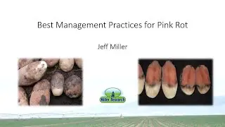 2022 Idaho Potato Conference Miller Research Pink Rot Presentation