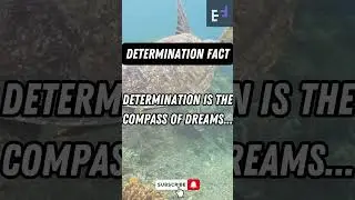 DETERMINATION FACT | #shorts #determination #facts