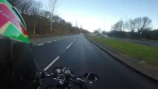 Bird attacks bike but fails