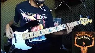 Raul Seixas - Metamorfose Ambulante - Baixo cover
