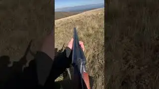 Russian double barrel shotgun