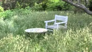 Long Live Accabonac! - Episode 4 - American Lawn