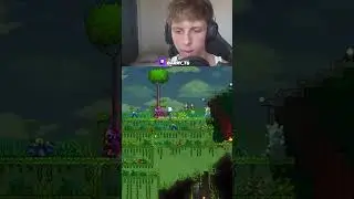What to do with the mystic frog in terraria...  #gaming #terraria #stream