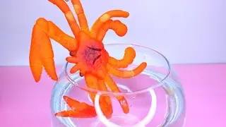 The Amazing MEGA GROW CRAB Review + Time Lapse Novelty Toy Reviews