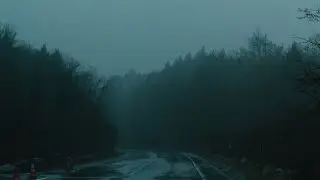 Silent Signals (in my head}