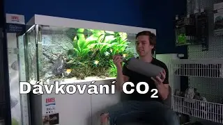 Juwel Akvarium - Proč dávkujeme CO2 do akvária a jak