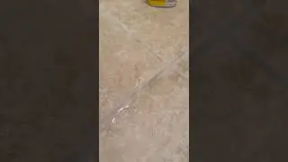 Grout Foaming Cleaner