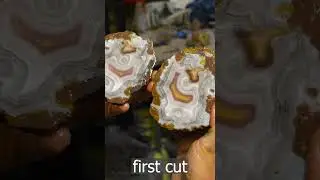 Cutting an amazing MEXICAN LAGUNA AGATE!