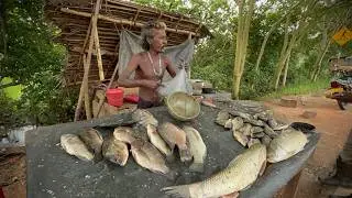 Is This the World&rsquo;s Most Attractive Fish Market? (Cutting Tilapia Live)