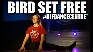 BIRD SET FREE | CONTEMPORARY | #DJFDANCECENTRE