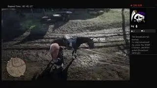 Red Dead Redemption 2 Online ; BlackHeartXCVII
