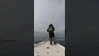 BIG Sheephead YO-YO Kicker 25H - Kicker Fishing Brand