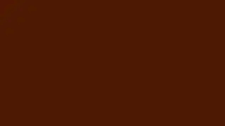 Brown Screen 10 Minutes (HD) No Sound | Blank Brown Screen for 10 Minutes FREE