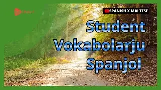 Student Vokabolarju Spanjol |Golearn