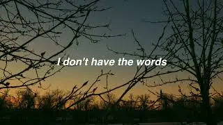 Colin Carbonera - Last Time I Saw Meara (Lyric Video)