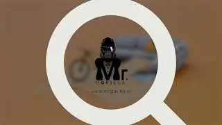 www.mrgorilla.in